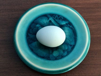 Blue egg4191