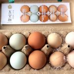 【伊豆三島卵屋】卵の宝船 五宝卵（ごほうらん）
